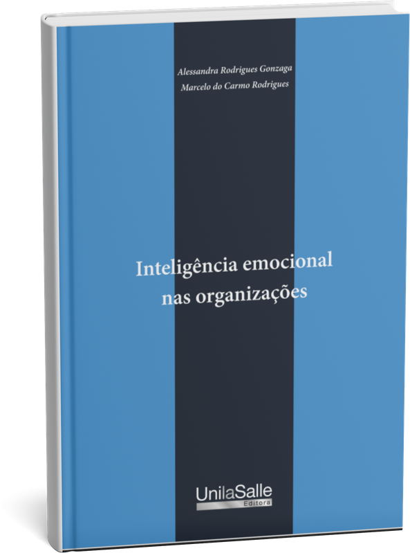 Capa do livro IE nas organizações
